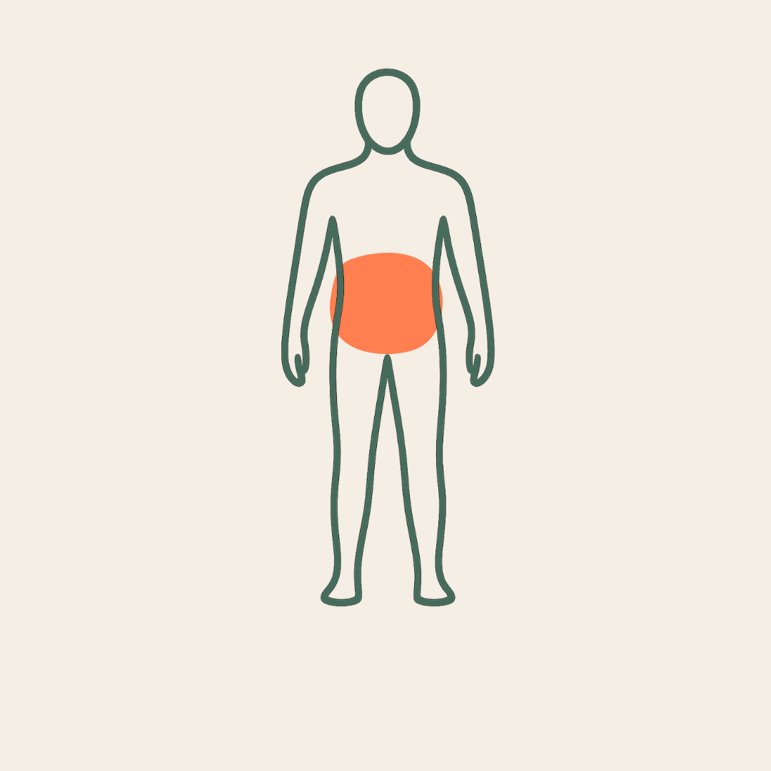 Abdomen