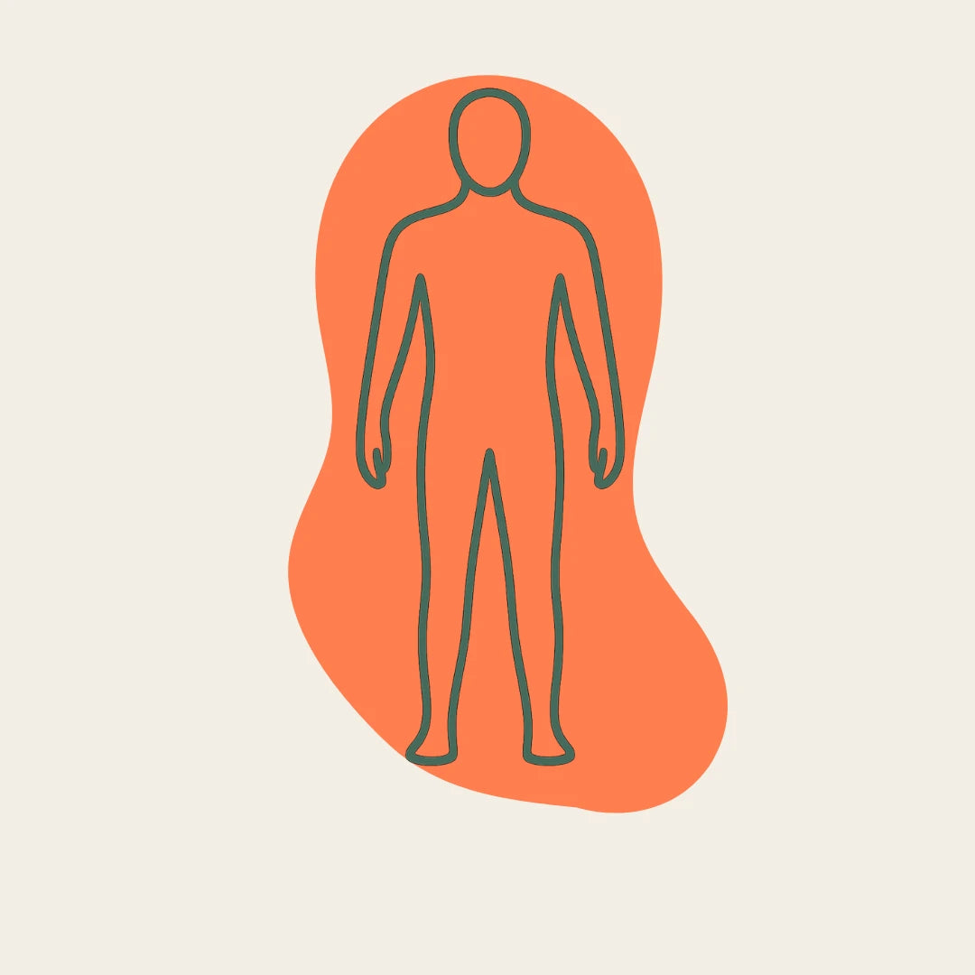Full Body